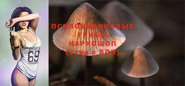 гашиш Богданович