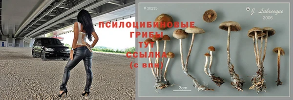 МДПВ Волоколамск