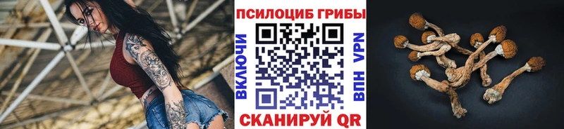 площадка Telegram  MEGA tor  Дзержинский  Галлюциногенные грибы прущие грибы 